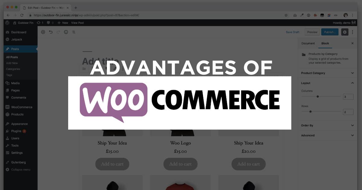 13 Advantages of Woocommerce to Kickstart Your Online Store